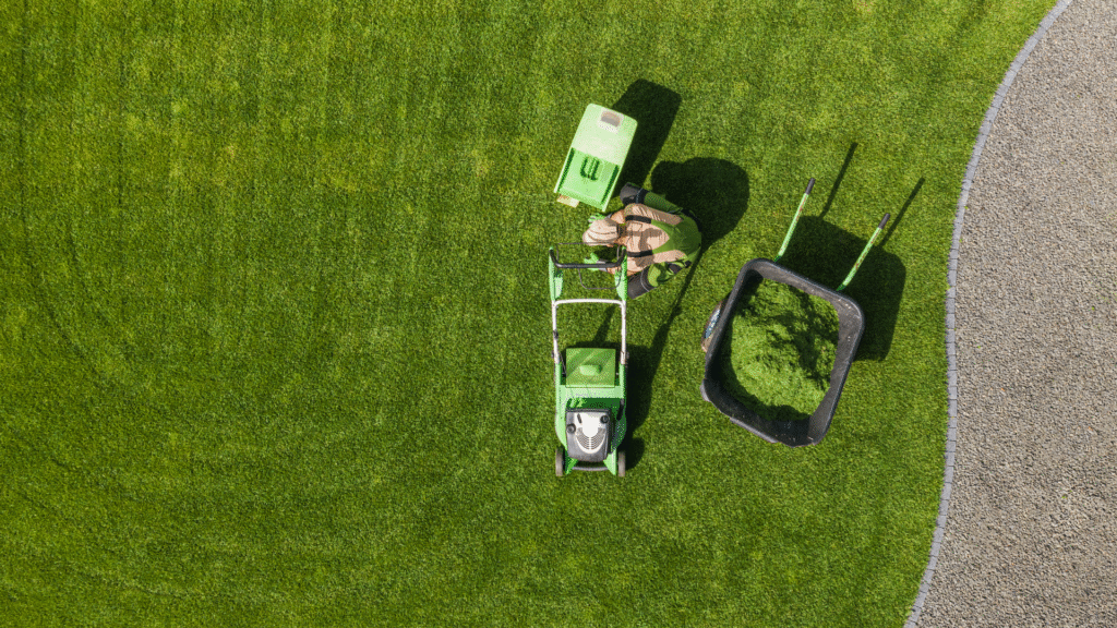Grass Cutting in Calgary - Lawn Father