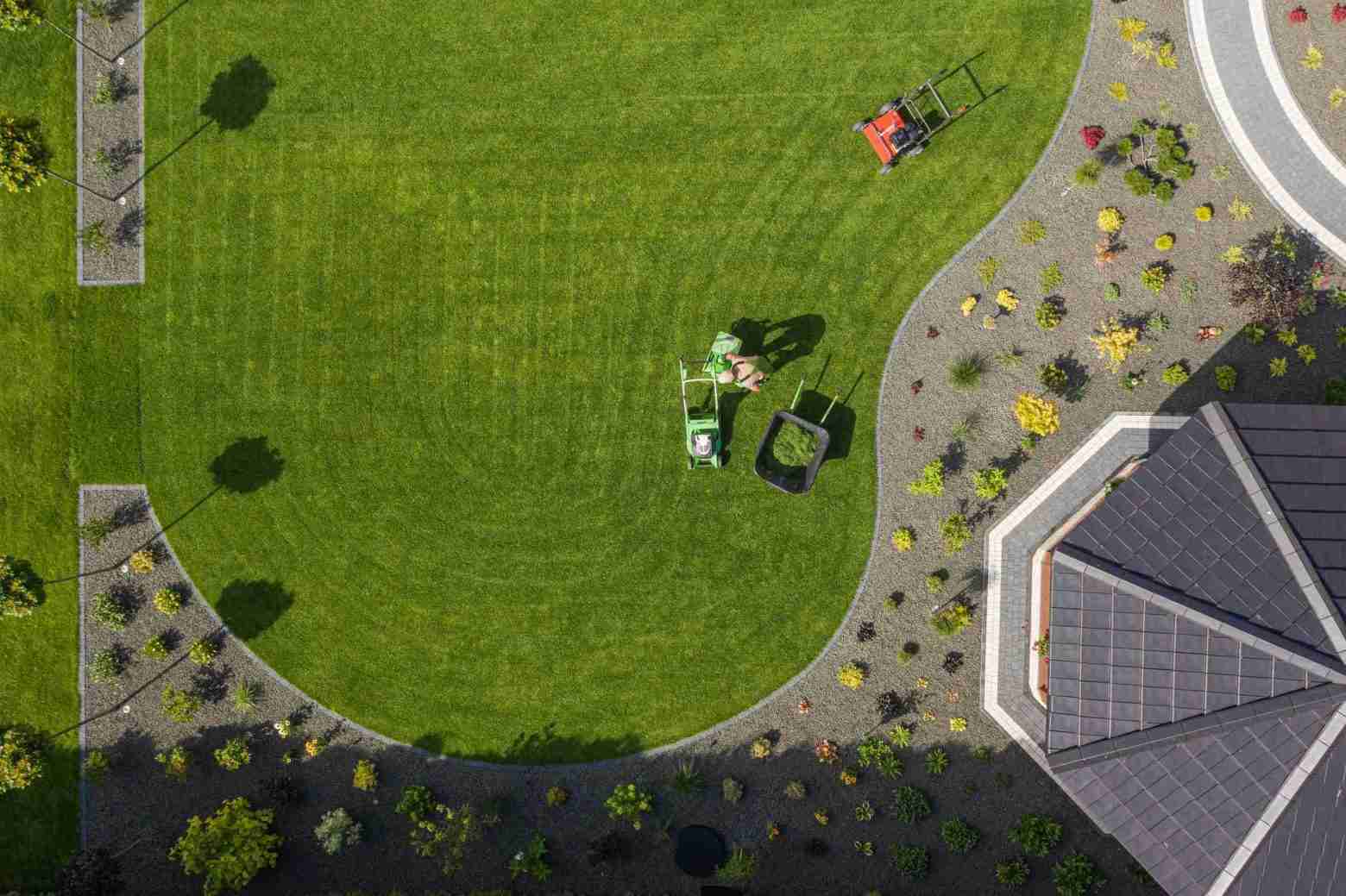 lawn care company in Calgary - Lawn Father
