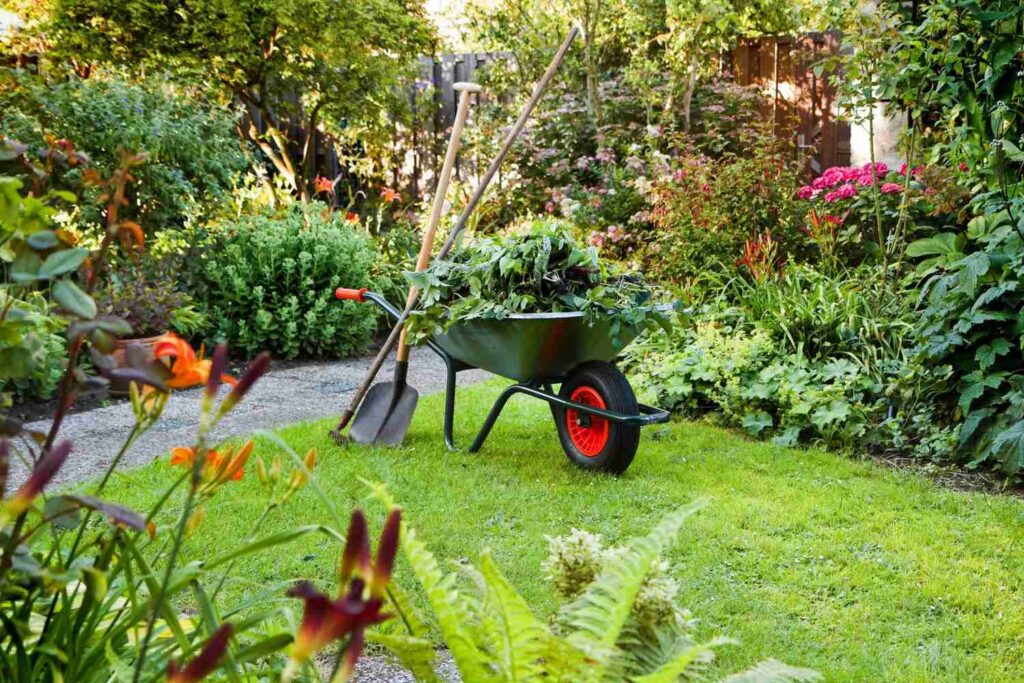 Lawn Maintenance in Calgary - Lawn Father