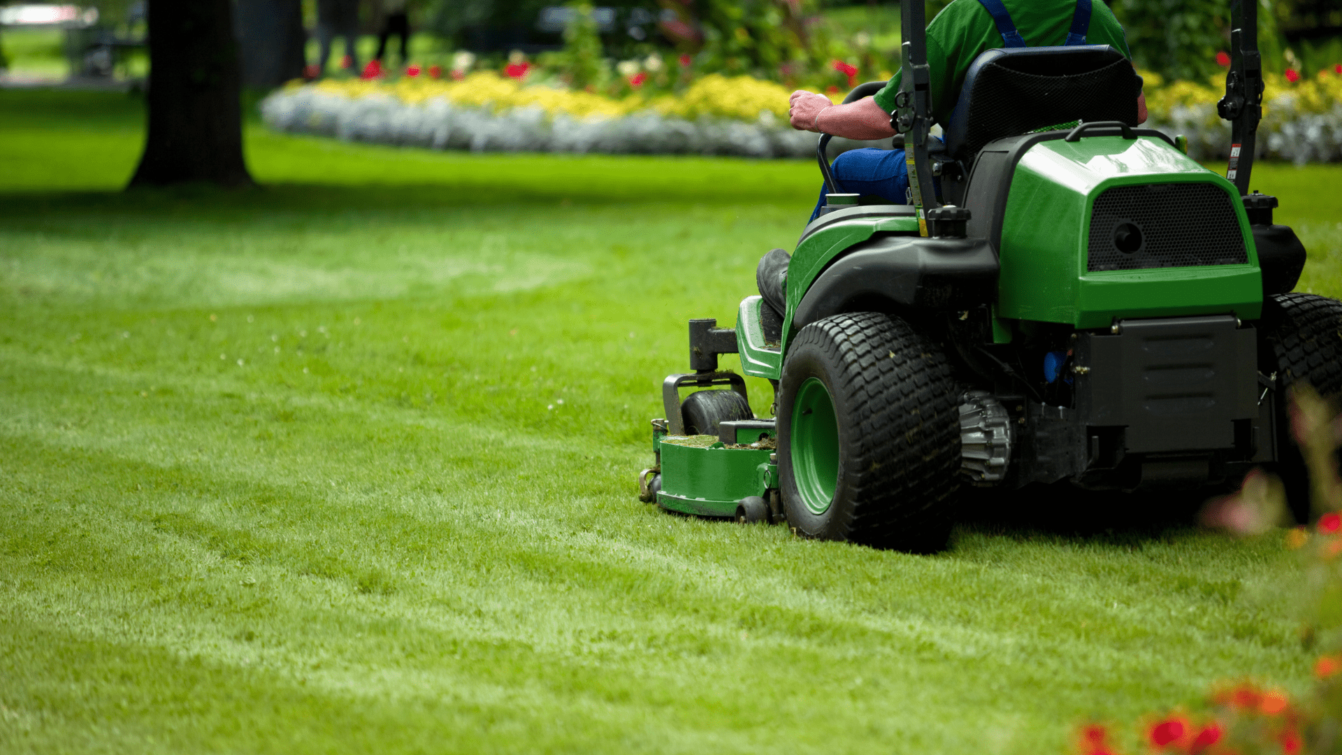Grass Cutting in Calgary - Lawn Father