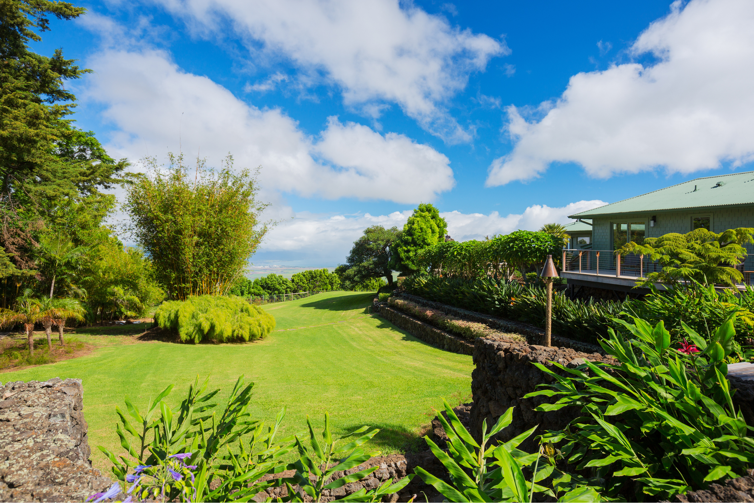 Residential Lawn Maintenance - Lawn Father