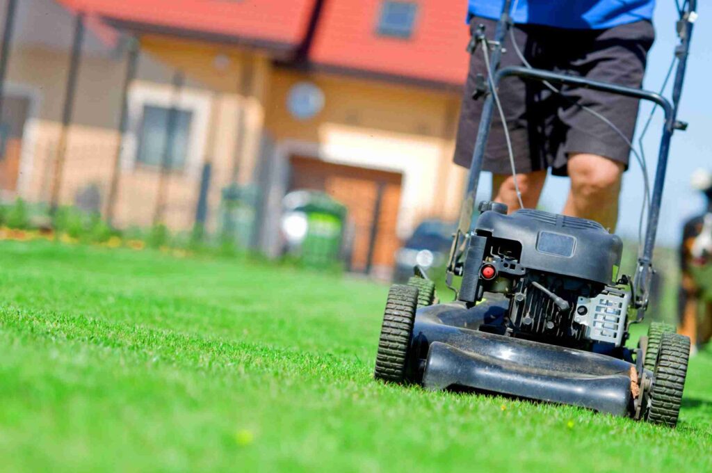 Lawn Mowing - Lawn Father
