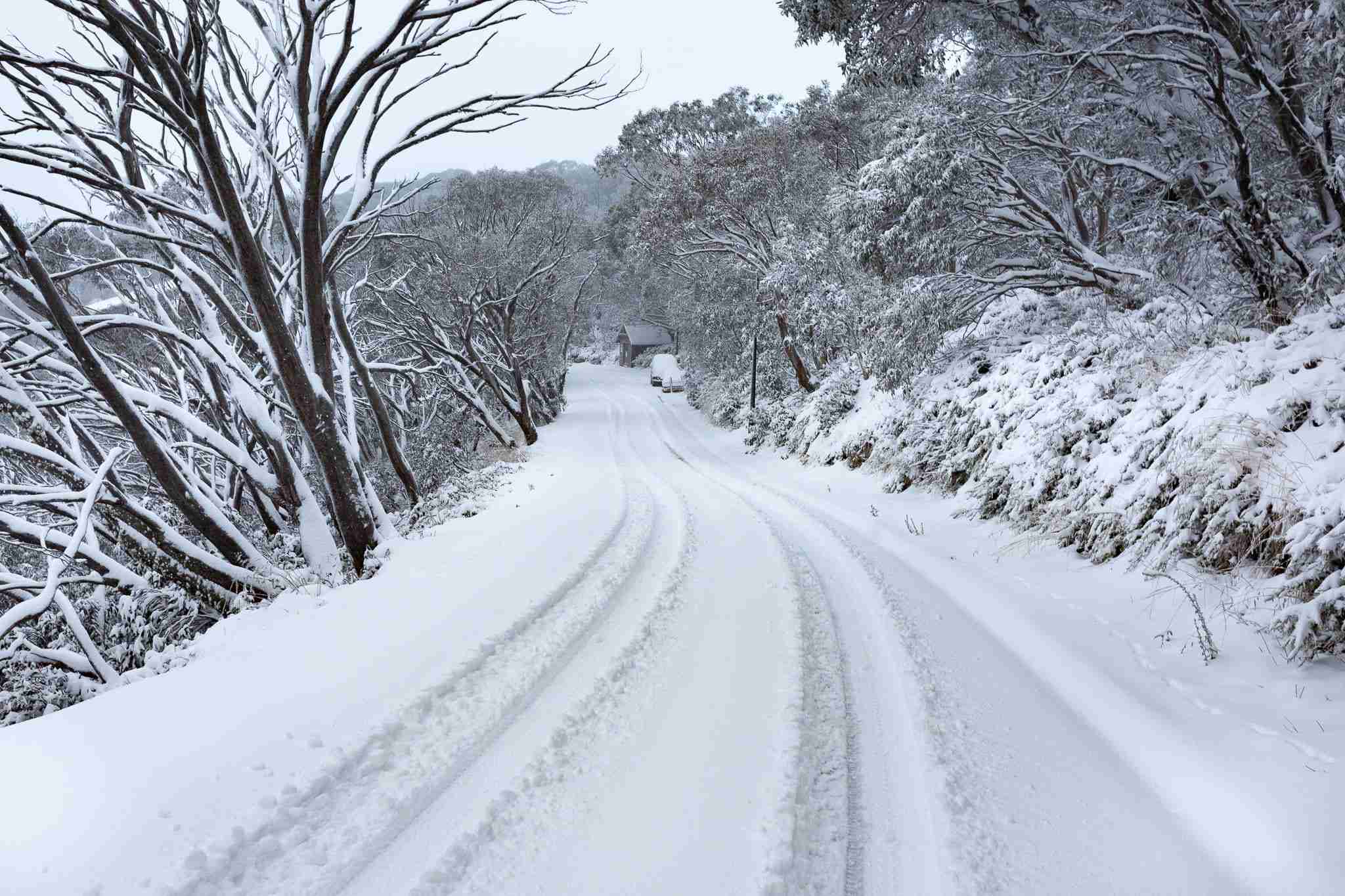 Road Snow - Lawn Father