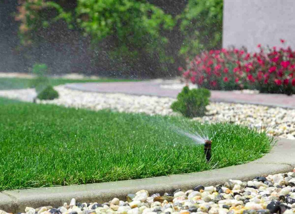 overwatering the lawn - Lawn Father