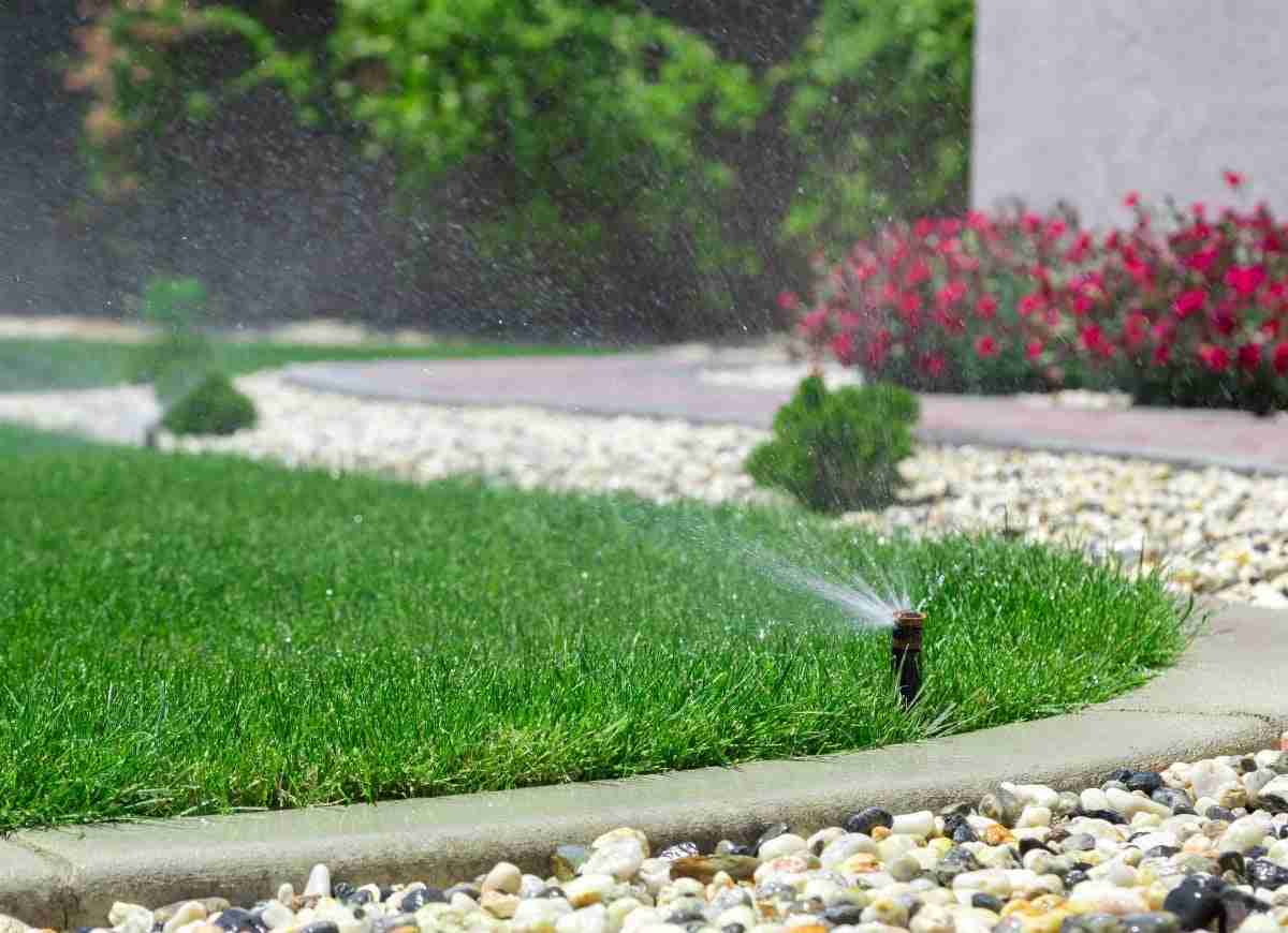 overwatering the lawn - Lawn Father