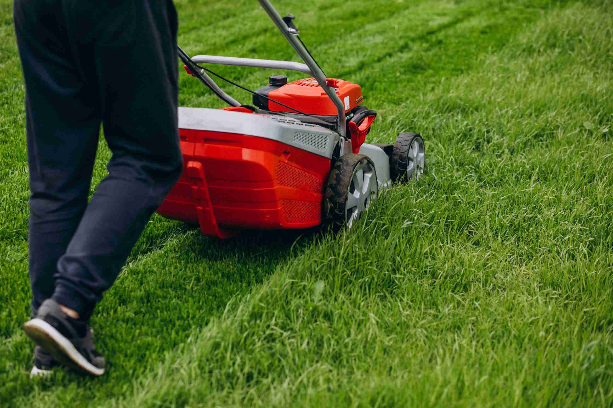 Man cutting grass with lawn mover in the back yard - Lawn Father